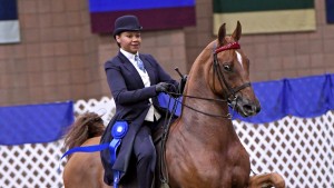 Student Kelsey Haney riding the horse Harlem’s Heirospace